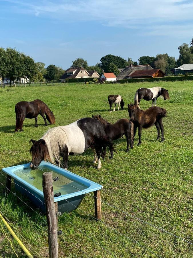 La Vita Veluwe Wapenveld エクステリア 写真