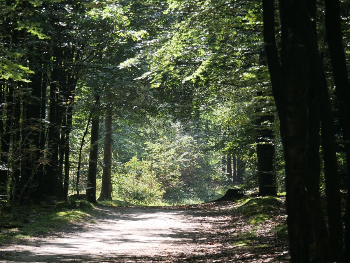 La Vita Veluwe Wapenveld エクステリア 写真